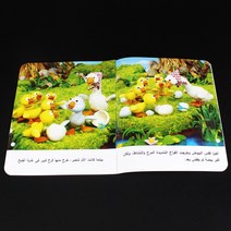 영어공부 언어발달 파닉스장난감 아랍어 아기 5Pcs 그림책 클래식 동화 동물 취침 시간 이야기 몬테소리 교육 스토리 북