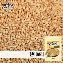맛봉달 2022년 겉보리 통보리 새싹보리키우기 새싹보리씨앗 국내산, 1개, 1kg