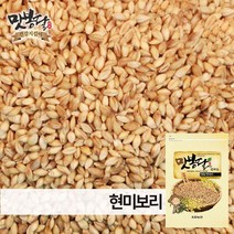 맛봉달 2022년 현미보리 보리현미 봄보리 쌀보리 국내산, 1개, 20kg 마대포장