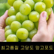 고씨네 청포도 특급 샤인머스켓 2kg 머루포도 포도, 샤인머스켓 4kg
