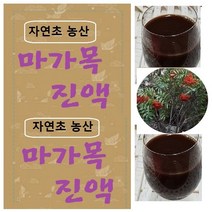 마가목진액 45팩(x115ml 마가목즙 액기스, (1형)마가목진액45팩