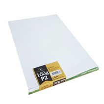 출력용상장용지(로얄무지/100매/160g/우진), 단품