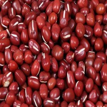 산들바람 2022년산 국내산 유기농 햇 적두 팥 500g, 1개