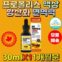 캐나다 비프로폴리스 리퀴드 30ml 액상 원액 1개월 플라보노이드 17mg 항산화 면역 항균 어린이 온가족 부모님 주부 성장기 청소년 선물