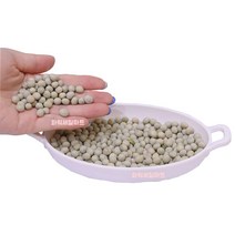 원플원 수입 잡곡 캐나다 완두콩 500g+500g, 단품, 단품