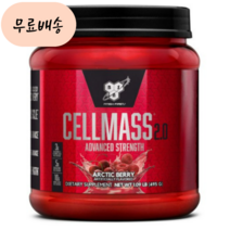 셀매스 신타6 BSN 비에스엔 Cell Mass 크레아틴 495.g 아틱 베리, 495g, 1개