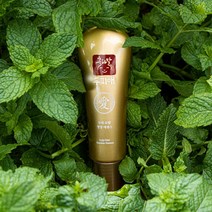 두피애 탈모관리 두피에센스 두피영양제 탈모케어