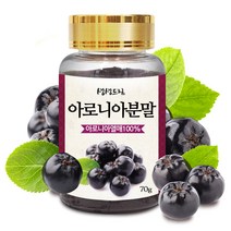 아로니아 분말 가루 70g 국산 국내산, 단품, 단품
