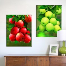 FASEN diy보석십자수 캔버스 형액자 세트 40cm x 50cm, AYW-24붉은 사과와 푸른 사과