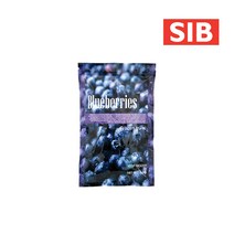 선인 냉동블루베리 1kg
