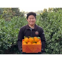 [제직증명] 초신선 한라봉 1월특가(한정수량), 돌담농장 초고당도 특대과 명품선물세트 5KG x 2박스