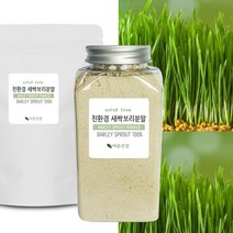 바른건강 친환경새싹보리분말 제주산 새싹보리분말 국산 수경제배 무농약새싹보리분말 제주산100%, 2개, 180g