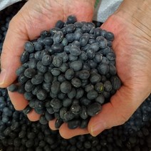 HACHO_ 서리태검은콩 작두콩차 현미 말린작두콩차 서리태볶음 찹쌀 서리태효능, 선택_ 지앤앰 서리태 검은콩 서리태콩 잡곡 검정콩 1k, 상품선택!!