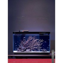 샤오미 스마트 수족관 각시붕어 글라스캣피쉬 키우기