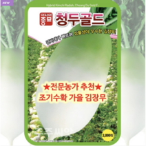 주주씨앗 아시아종묘 김장무씨앗 청두골드 2000립 가을무 저장무 김장무 무우씨 무우씨앗