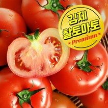 와이즈플러스 스마트팜 청년농부 정품 토마토 2개 4개 10개 15개 20개, 15개(1.6kg이상)
