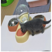 새끼 고양이 강아지 식기 식수기 생후 2개월 3개월 4개월 5개월 밥그릇 물그릇 수반, 블루