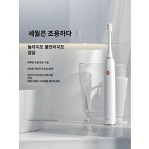 전동 칫솔 모 진동 치솔 음파 세정기 치석 제거기, 파란색UP(브러쉬헤드6개+여행용가죽케이스포함)