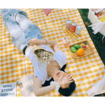 돗자리피크닉매트감성 야외캠핑장 서울숲 한강 방수 비치 베란다 접는 휴대용 체크, 네이처