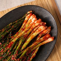 맛군 젓갈부터 다른 당일생산 전라도 파/총각/갓/배추 김치 이씨네식품, 포기김치 5kg