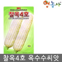 찰옥4호 옥수수씨앗 35g 흰찰옥수수 찰옥수수 씨앗 씨, 찰옥4호옥수수