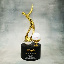 더좋은상패 크리스탈 홀인원패 싱글패 이글패 이븐파 언더파 대회 골프트로피 (TR6), 금색, 금색도금공 추가안함