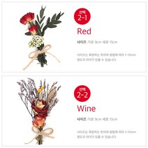 드라이플라워 인테리어 액자용 초미니 엽서카드, 1개, 2-2 Wine