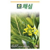 수세미 10립 수세미씨앗 수세미씨 스무드루파 시누아 채소씨 채소씨앗 야채씨앗 야채씨, 22_다농_채심(5g)