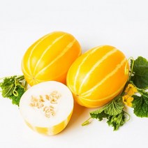 신선코리아 성주참외 농장산지 못난이 가정용 참외3kg, 쿠팡 못난이 가정용3kg, 쿠팡 본상품선택