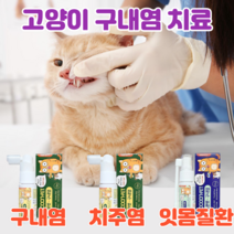 이지캣 고양이 구내염약 구내염 치주염 치은염 잇몸염증 바르는 젤 구강 영양제, 긴 스프레이