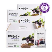 [김재식헬스푸드] 포도한송이 포도씨포도즙 100ml 120팩(30팩 4박스), 상세 설명 참조