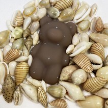 핸드메이드그립톡 ] 무광 점점 곰돌이 스마트톡 핸드폰악세사리 Blossom Day, 포장, 초코