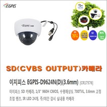 SD 돔 카메라 이지피스 EGPIS-D9624N (3.6mm)외 추가상품, SD 돔카메라 EGPIS-D9624N(3.6mm)