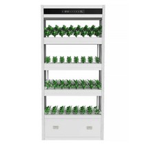 식물카페 샐러드가게 스마트 블루투스 수경 재배 선반, 아쿠아포닉스(수조) 모델