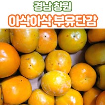 경남 창원 감 단감 부유단감 5kg 소 중 대, 부유단감5kg_대