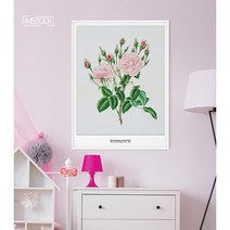 아이엠스톡 인테리어 액자 ﻿Rosa damascena3 장미 022 캔버스액자, 캔버스(테두리 없음)