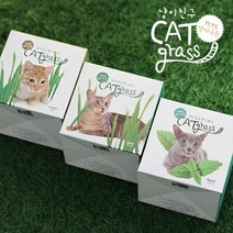 꿈쟁이 저면관수화분 고양이 캣그라스 키우기 3종 귀리, 1개