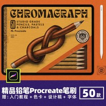 목탄 콩테 찰필 부티크 차콜 펜슬 프로크리에이트 브러쉬 스케치 텍스처 일러스트 스트로크 핸드페인팅, 없음