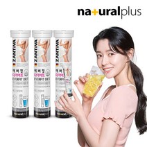 [내츄럴플러스] 권나라 에버핏 다이어트 발포 가르시니아 20정 3통 / 독일직수입 잔티바, 상세 설명 참조, 상세 설명 참조
