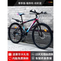 2023 MTB 입문용 산악자전거 남성 레이싱