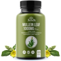 HerbaMe 60000mg 120정 폐 폐에 기관지 기관지에 좋은 비염 천식 영양제, 상품선택