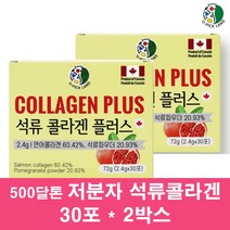 500달톤 초 저분자 피쉬 어류 콜라겐 분말 가루 펩타이드 수용성 먹는 엘라스틴 히알루론산 페르시아 터키석류 석류 농축액 원액 스틱 피부장벽 여자, 2박스