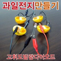 현hmvy_과학교구 실험키트 교재 교육용 만들기 과일전지 학습♥sngr1, ♥jusngri!!