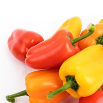 자체브랜드 [도곡팜]국내산 미니 파프리카 2kg (250g x 8팩)