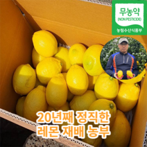 [20년레몬농부] 제주 무농약 국내산 친환경 레몬 선별 농산물 3kg 산지직송, 레몬 3kg, 1개