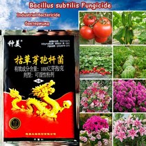 요소비료 농사 유기질 텃밭 복합 비료 15 g Bacillus Subtilis 치료 식물 질병 마약 살균 농약 Fungicides 약국 보호 정원