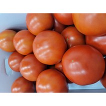 [새벽배송]초신선 완숙 토마토 가정용 매일경매입고 과일선물 과일주스 토망고 완숙토마토 고당도 프리미엄 / 가락시장 서울청과, (특1등급)완숙토마토 1kg (2L-2S)