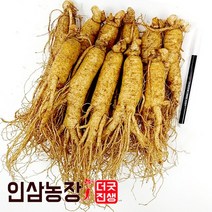 더굿진생 금산 인삼 수삼 원수삼 난발삼 파삼 삼계 350g, 1개, (세척안함)알뜰형 600g(7~9뿌리)