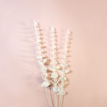 데코조화 - 유칼립투스 화이트 리드 조화, 1개