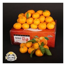 서귀포 하례마을 노지감귤 5kg+5kg ( 2S/S/M 130과내외 )
